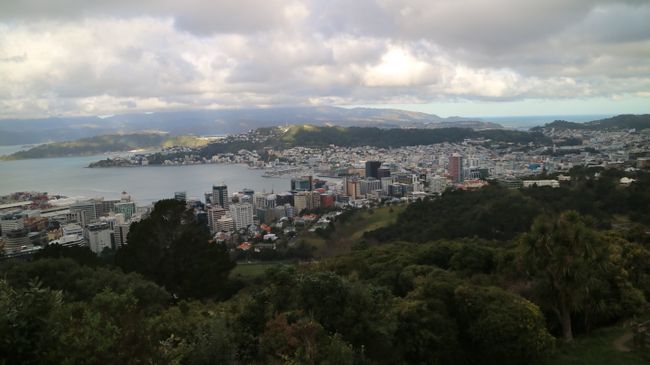 Wellington - from two / makes three!