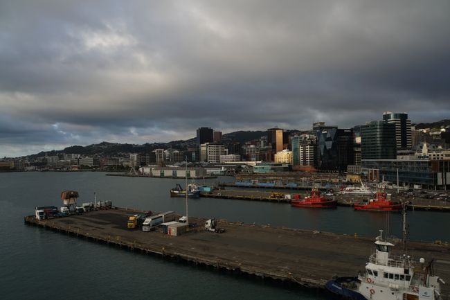 Blick auf Wellington von der Fähre im Hafen
