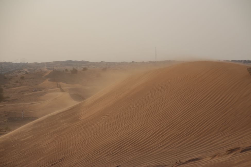 Tag 12 (2015) Abu Dhabi -Wüste - Hatta - Dubai