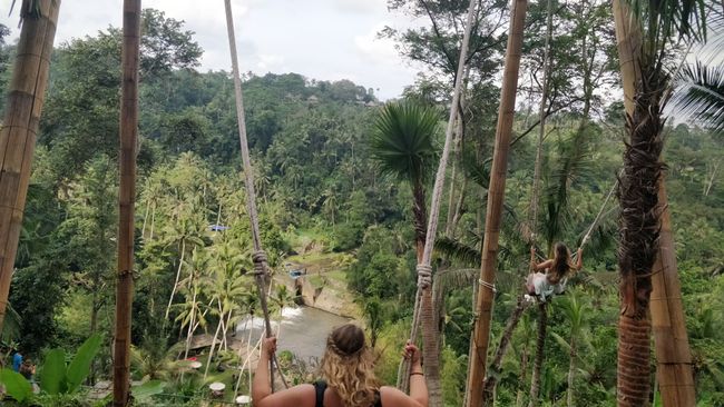 Bali Swing & Monkey Forest