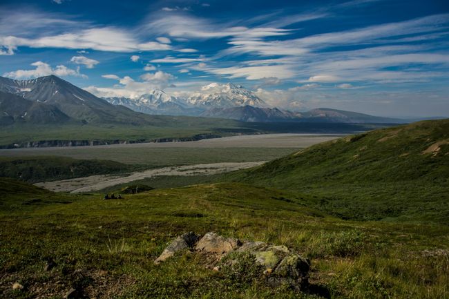 Tag 143 and 144: Denali National Park - lots of wildlife and great mountains