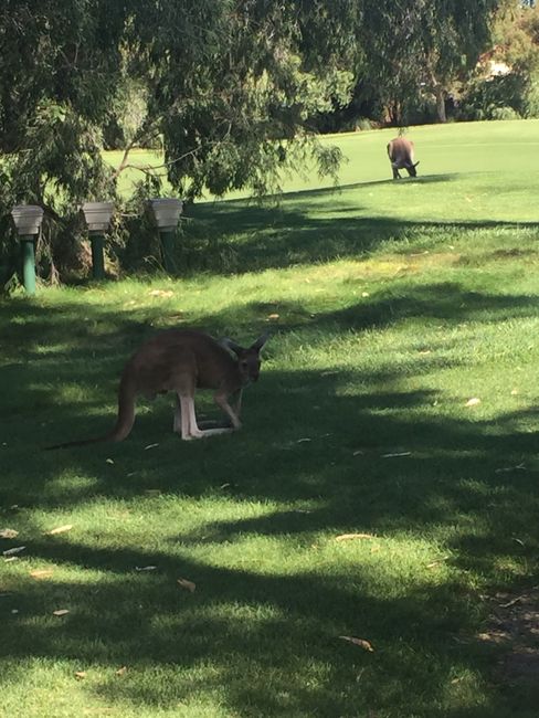 Perth und die Anspannung, ob man wirklich nach Hause darf.