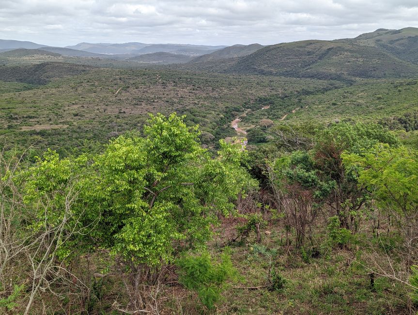 Hluhluwe-Imfolozi-Nationalparks