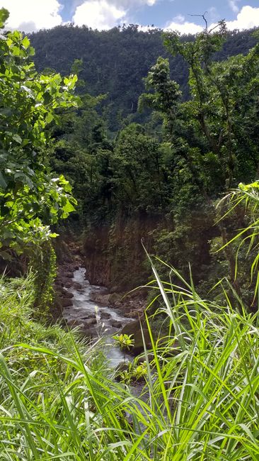 Abenteuer Dominica - ein kleines Paradies