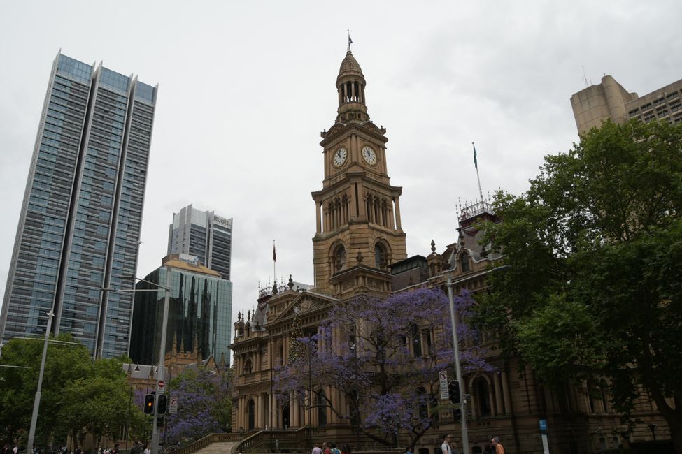 Sydney - Rathaus