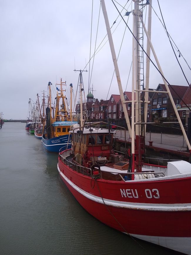 Karneval an der Nordsee....