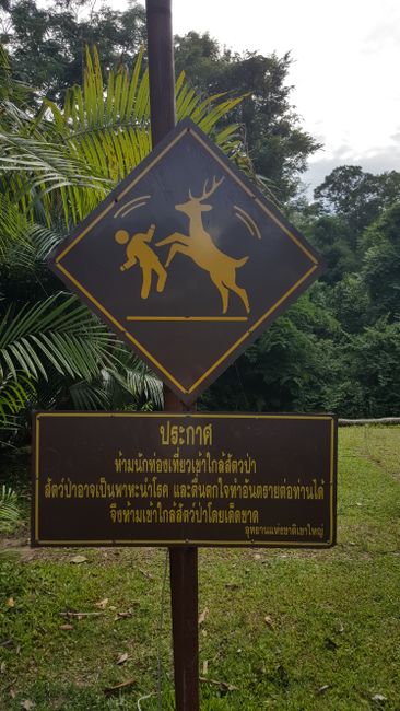 Khao Yai National Park, qhov qub tshaj plaws hauv Thaib teb