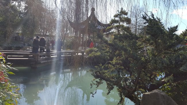 Vancouver - Desfile del Año Nuevo Chino