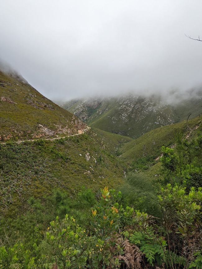 Knysna, Mossel Bay, Oudtshoorn