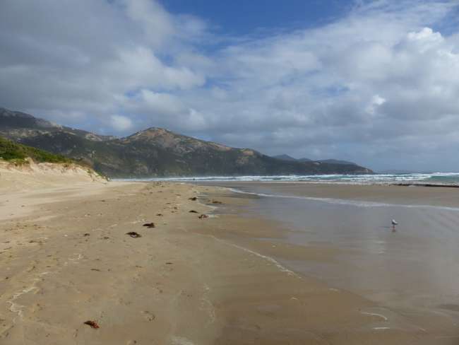 Day 46: Melbourne - Wilson Promontory National Park
