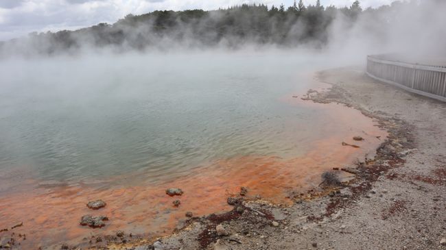 Tag 9 Wai-O-Tapu Thermal Wonderland