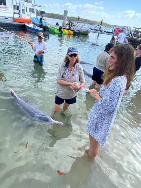07&08|12|2019, Delfine füttern und ein neuer Job!
