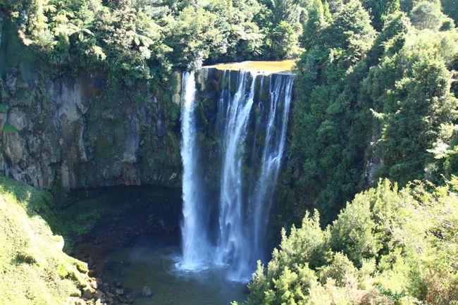 Weg von Waitomo zum Tongariro National Park