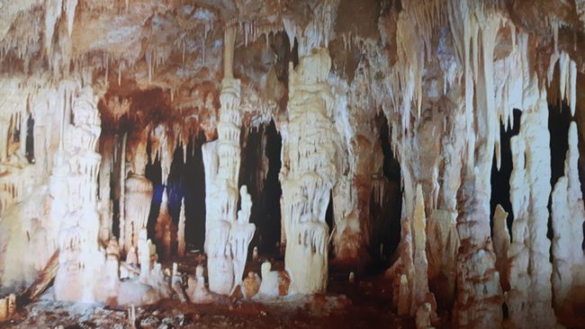 14.08.2018 - Kerkini, Dripstone Cave, Filipi, Kavala, Tychero (Dadia National Park)