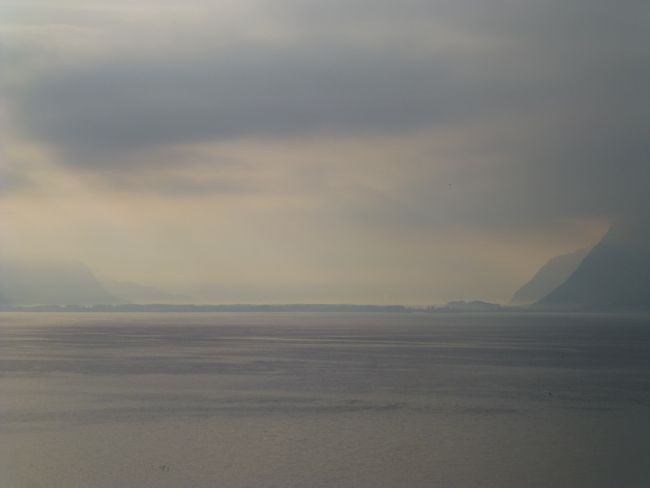 Lavaux Terrace