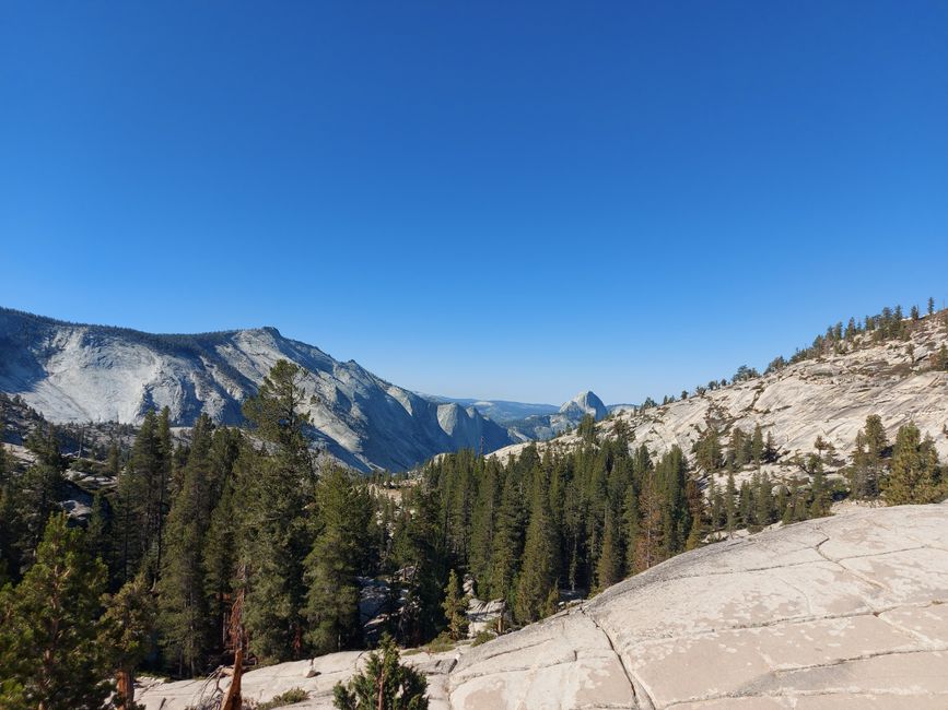 16. dan: Nacionalni park Yosemite