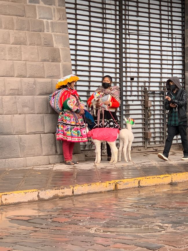 a common sight in Cusco