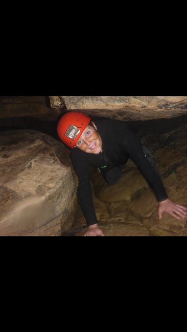 Waitomo Caves and Hobbiton!