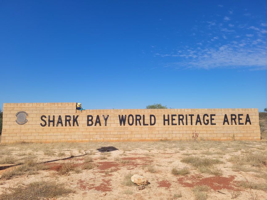 Stuart enters Shark Bay World Heritage Area