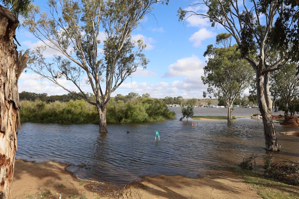 Murray River has already flooded part of the campground