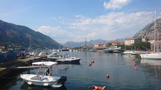 Hafen von Kotor 