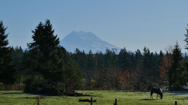 Roy - View nan Mt Rainier
