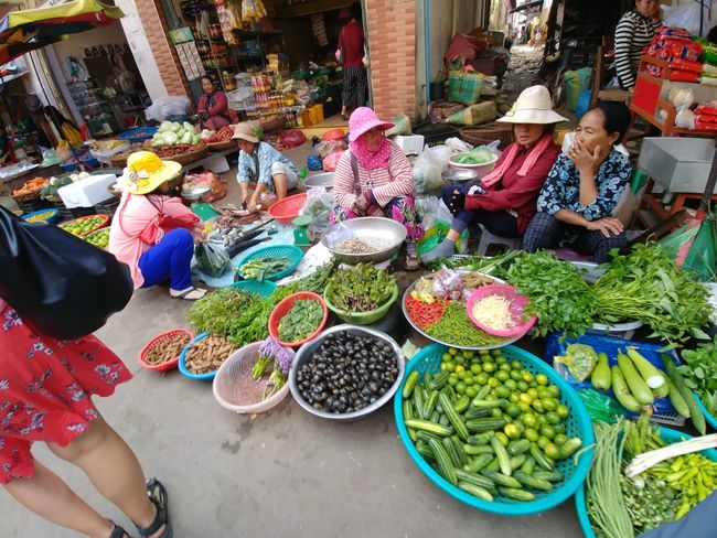 Angeschlagen in Kratie