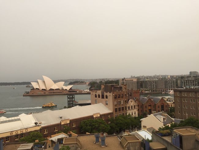 Chapter 4: Sydney, New Year's Eve, and Family Time