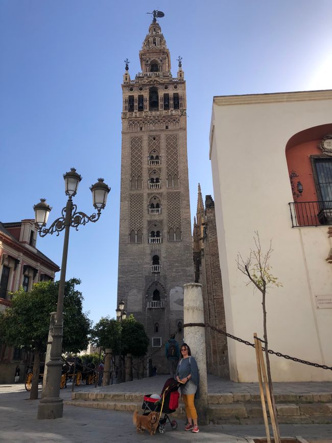 La Giralda, el campanario de la catedral de Sevilla.