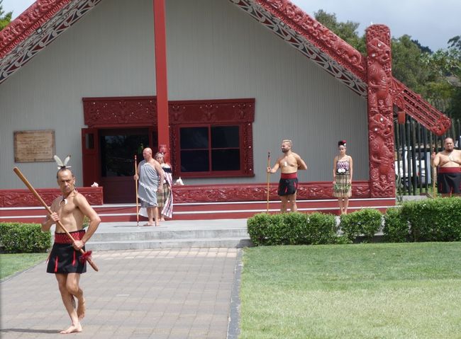 Thermalpark Te Puia - Maori-Show