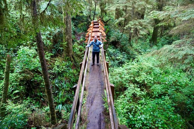 Canada - Day 7 (1) - Rainforest Trail at Tofino