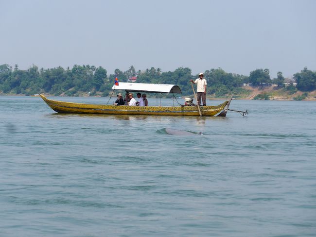 Mönche, Seide und Delfine (Mekong Kreuzfahrt Teil 4)