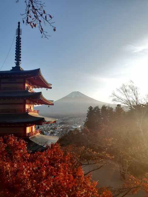 Chureito Pagode und Mt. Fuji-san