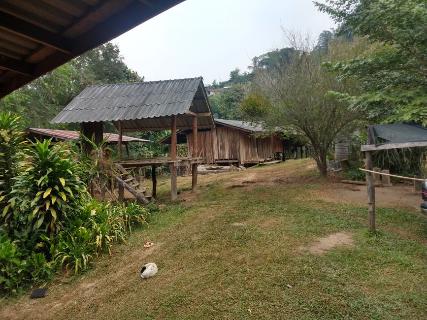 Chiang Mai: Trekking Tour auf dem Bambusfloß