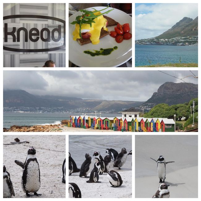 Muizenberg, St. James und Pinguine von Boulder Beach 