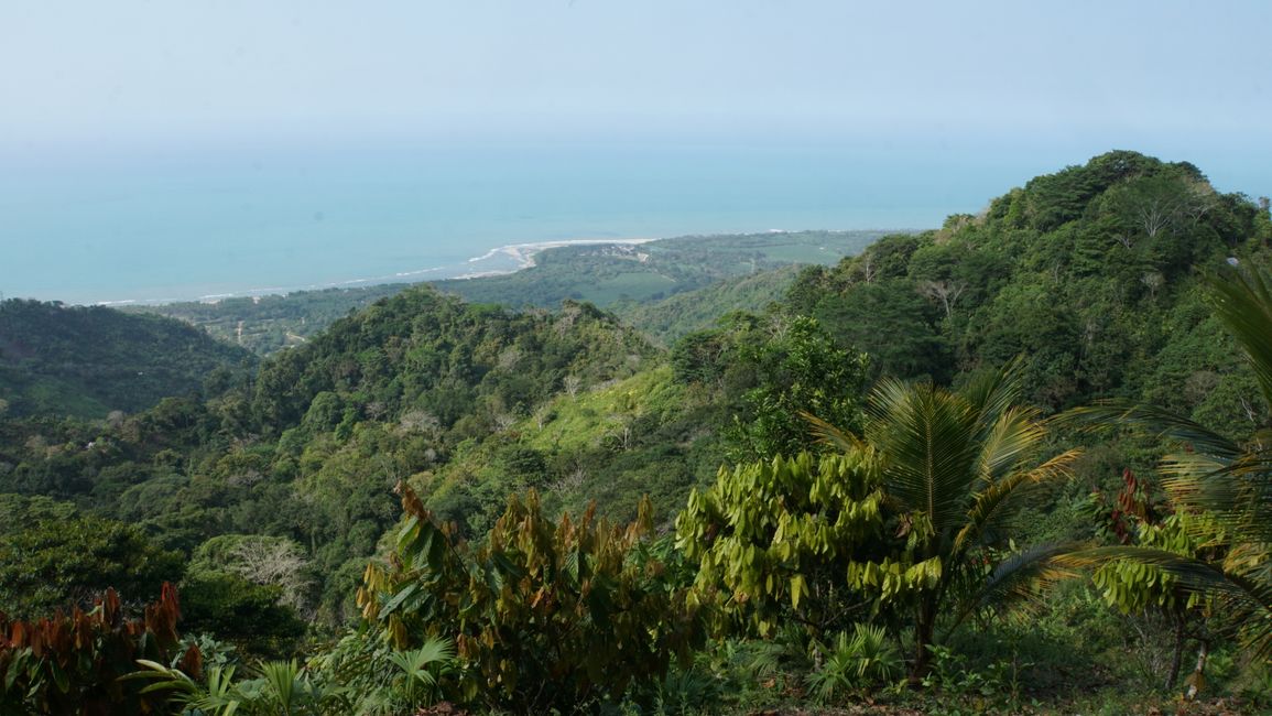 View of the coast from the viewpoint