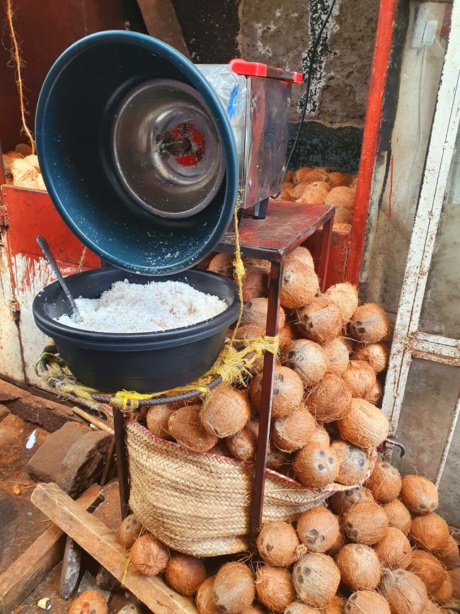 Kokosnüsse auf dem Local Market