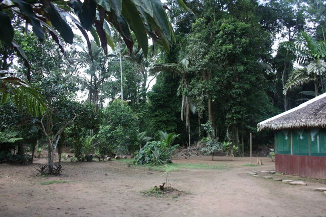 Dschungel-Tour