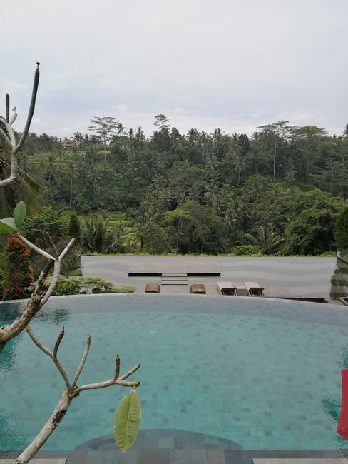 Bali Vibes in Canggu and Ubud