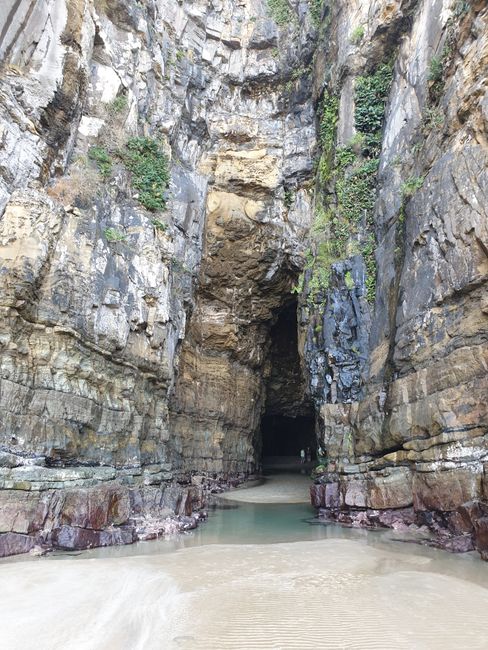 Cathedral Cave in den Catlins