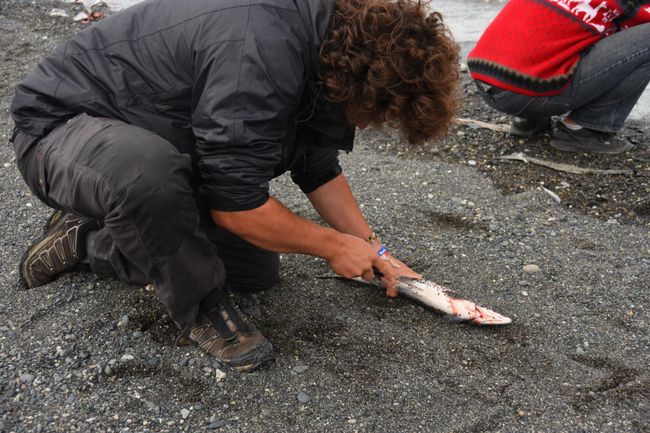 Days 153 to 154: Salmon Madness on the Kenai Peninsula
