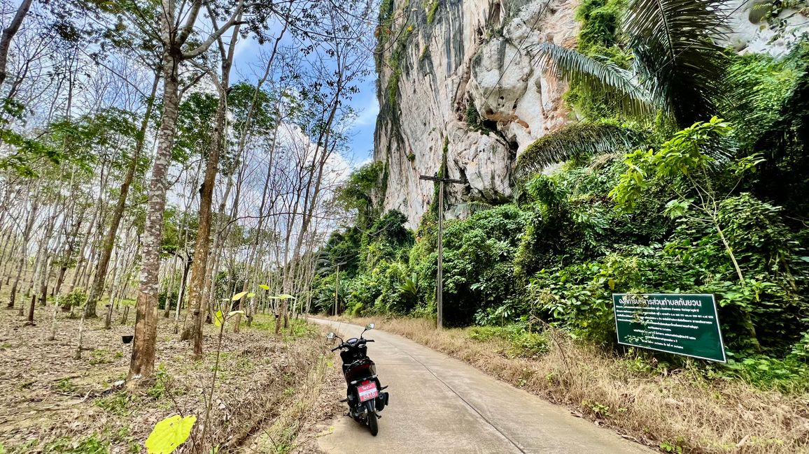 Tag 327 - Exploring Khao Sok National Park by scooter