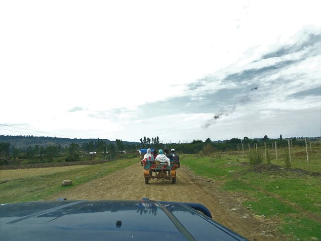 Road to Menagesha, horse-drawn carriage