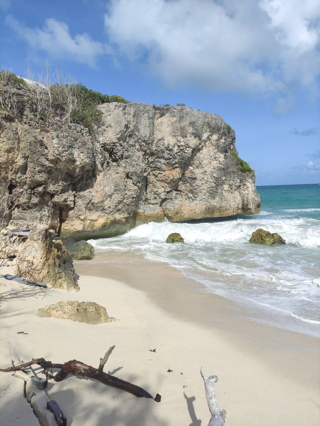 4th day in Barbados: Andromeda Garden, Bath Beach, some cave, beautiful beach in the south, Oistins