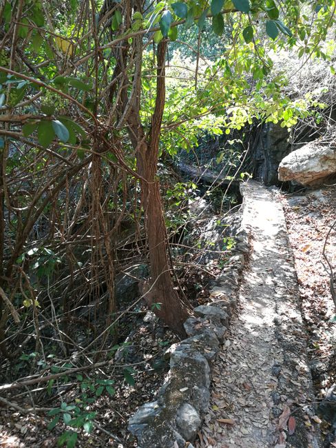 The path to the top of the waterfall.
