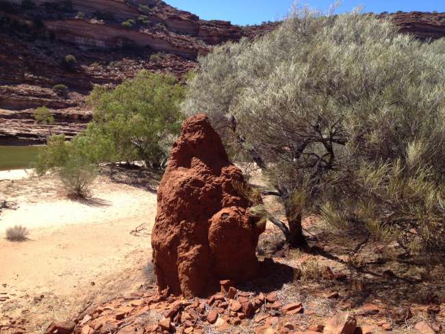 Kalbarri National Park