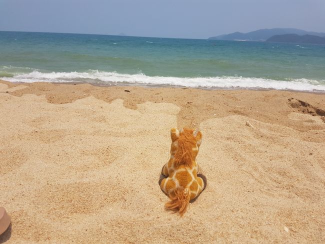 Schnorcheln und Strand in Nha Trang