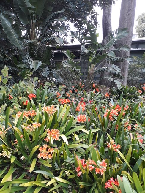 Un hermoso parque a la vuelta de la esquina:)) ¡La primavera está llegando!