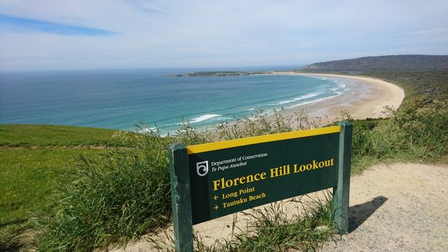 Florence Hill Lookout 