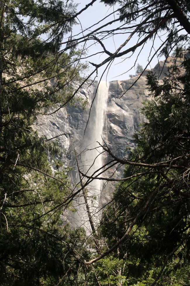 "Mitja cúpula" però entusiasme total - Parc Nacional de Yosemite a Califòrnia